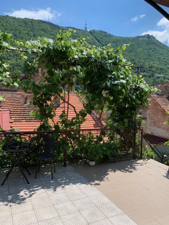 Fantasy Terasa Apartment Брашов Екстериор снимка